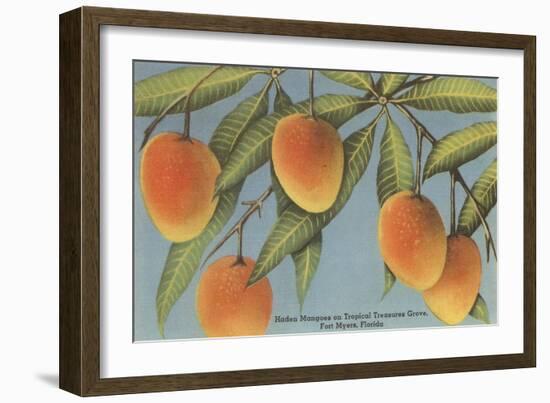 Mangoes, Ft. Myers, Florida-null-Framed Art Print