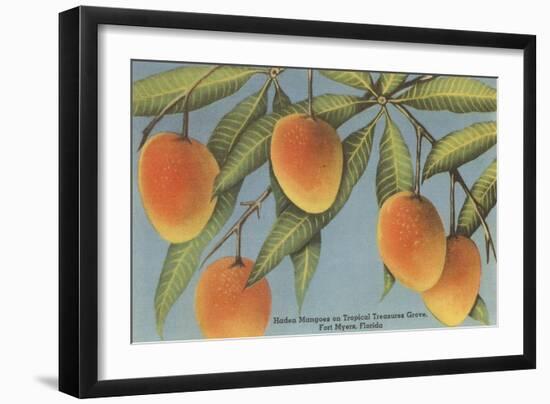 Mangoes, Ft. Myers, Florida-null-Framed Art Print