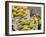 Mangos at Fruit and Vegetable Market, Khon Kaen, Thailand-Gavriel Jecan-Framed Photographic Print