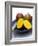 Mangos, One Cut Open-William Lingwood-Framed Photographic Print