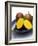 Mangos, One Cut Open-William Lingwood-Framed Photographic Print