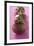 Mangosteens in a Row-Foodcollection-Framed Photographic Print