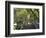 Mangrove Boardwalk, Botanic Gardens, Brisbane, Queensland, Australia-David Wall-Framed Photographic Print