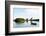 Mangrove Forest on Krabi Estuary, Krabi, Thailand, Southeast Asia, Asia-Christian Kober-Framed Photographic Print