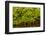 Mangrove on a waterway in Saloum, Senegal, West Africa, Africa-Godong-Framed Photographic Print