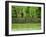 Mangrove Tour, Langkawi Island, Malaysia, Southeast Asia, Asia-Nico Tondini-Framed Photographic Print