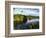 Mangrove Wetland Habitat, Merritt Island National Wildlife Refuge, Florida, USA-Adam Jones-Framed Photographic Print