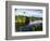 Mangrove Wetland Habitat, Merritt Island National Wildlife Refuge, Florida, USA-Adam Jones-Framed Photographic Print