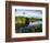 Mangrove Wetland Habitat, Merritt Island National Wildlife Refuge, Florida, USA-Adam Jones-Framed Photographic Print