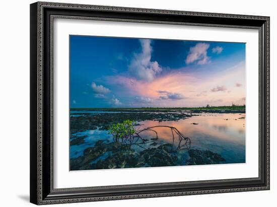 Mangroves At Sunset In Eleuthera, The Bahamas-Erik Kruthoff-Framed Photographic Print