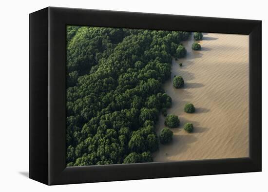 Mangroves. Georgetown Area, Guyana-Pete Oxford-Framed Premier Image Canvas