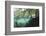 Mangroves Trees above and Underwater-Reinhard Dirscherl-Framed Photographic Print