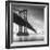 Manhattan Bridge 1-Moises Levy-Framed Photographic Print