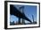 Manhattan Bridge, 2020, ( Photograph)-Anthony Butera-Framed Giclee Print