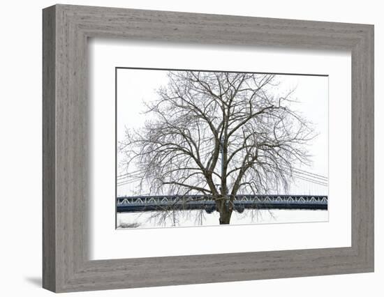 Manhattan Bridge Span with Tree-Erin Clark-Framed Art Print