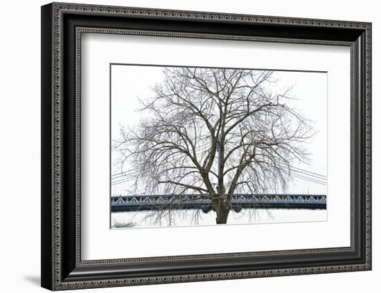 Manhattan Bridge Span with Tree-Erin Clark-Framed Art Print