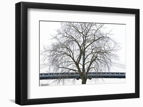 Manhattan Bridge Span with Tree-Erin Clark-Framed Art Print