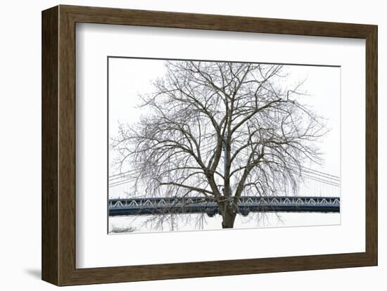 Manhattan Bridge Span with Tree-Erin Clark-Framed Art Print