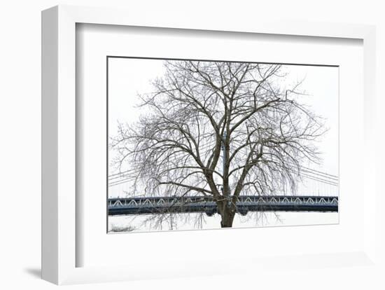 Manhattan Bridge Span with Tree-Erin Clark-Framed Art Print