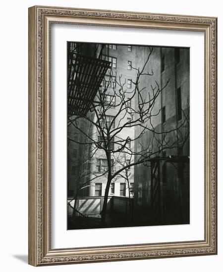 Manhattan Courtyard, New York, 1945-Brett Weston-Framed Photographic Print