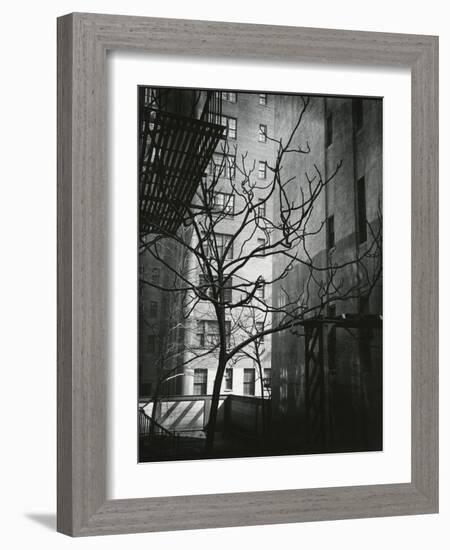 Manhattan Courtyard, New York, 1945-Brett Weston-Framed Photographic Print