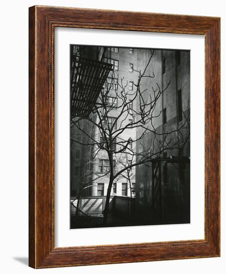 Manhattan Courtyard, New York, 1945-Brett Weston-Framed Photographic Print