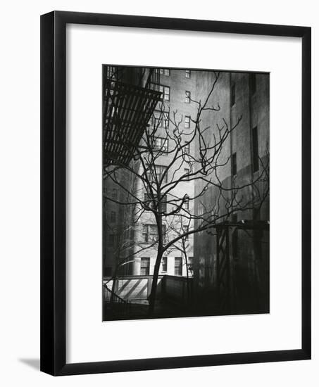 Manhattan Courtyard, New York, 1945-Brett Weston-Framed Photographic Print