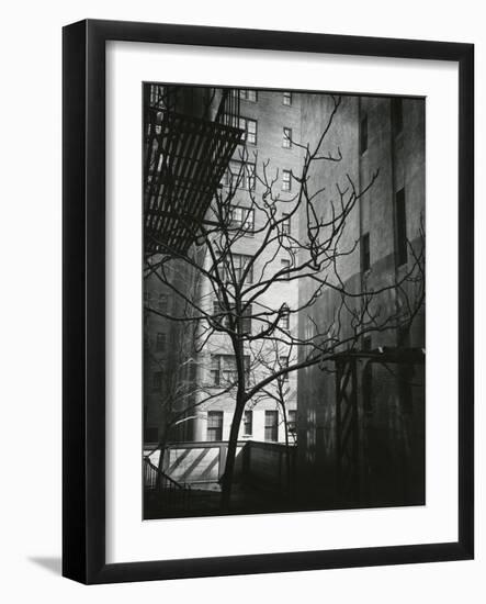 Manhattan Courtyard, New York, 1945-Brett Weston-Framed Photographic Print