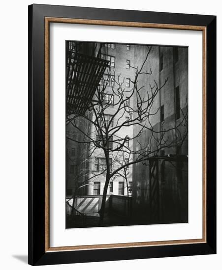 Manhattan Courtyard, New York, 1945-Brett Weston-Framed Photographic Print