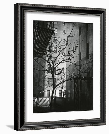 Manhattan Courtyard, New York, 1945-Brett Weston-Framed Photographic Print