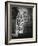 Manhattan Courtyard, New York, 1945-Brett Weston-Framed Photographic Print