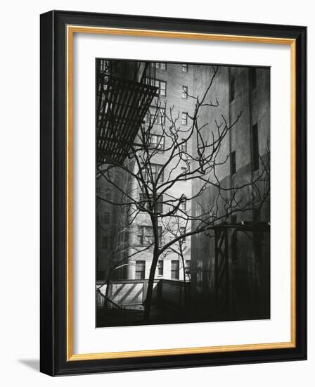 Manhattan Courtyard, New York, 1945-Brett Weston-Framed Photographic Print