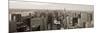 Manhattan Looking South-Richard Berenholtz-Mounted Art Print