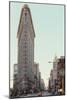 Manhattan Metropolis-Irene Suchocki-Mounted Giclee Print