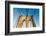 Manhattan, New York, USA. Cables and tower on the Brooklyn Bridge.-Emily Wilson-Framed Photographic Print