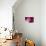 Manhattan Shine - Pink Night-Philippe Hugonnard-Photographic Print displayed on a wall