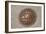 Manhole Cover In Chicago-Mark Williamson-Framed Photographic Print