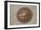 Manhole Cover In Chicago-Mark Williamson-Framed Photographic Print