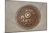 Manhole Cover In Chicago-Mark Williamson-Mounted Photographic Print