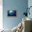 Mania Ray, Manta Alfredi, Island of Yap, Micronesia-Stuart Westmorland-Framed Premier Image Canvas displayed on a wall