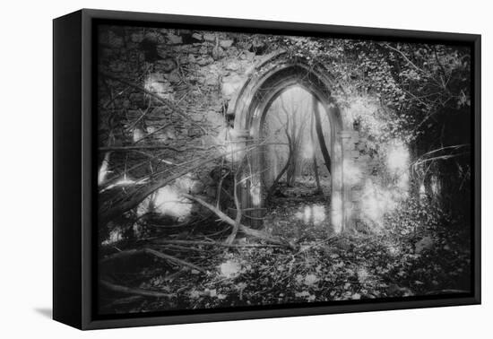 Manisternagalliaghduff, County Limerick, Ireland-Simon Marsden-Framed Premier Image Canvas