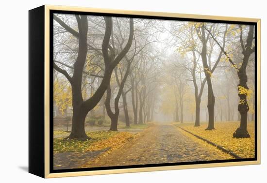 Manito Boulevard in October, Spokane, Washington, USA-Charles Gurche-Framed Premier Image Canvas