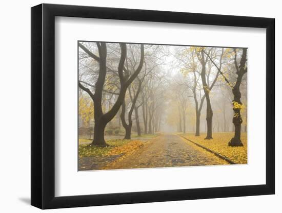 Manito Boulevard in October, Spokane, Washington, USA-Charles Gurche-Framed Photographic Print