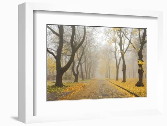 Manito Boulevard in October, Spokane, Washington, USA-Charles Gurche-Framed Photographic Print