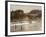 Manly Beach, Sydney, New South Wales, Australia-null-Framed Photographic Print