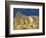 Manly Beacon at Zabriskie Point-Rudy Sulgan-Framed Photographic Print