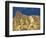 Manly Beacon at Zabriskie Point-Rudy Sulgan-Framed Photographic Print