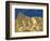 Manly Beacon at Zabriskie Point-Rudy Sulgan-Framed Photographic Print