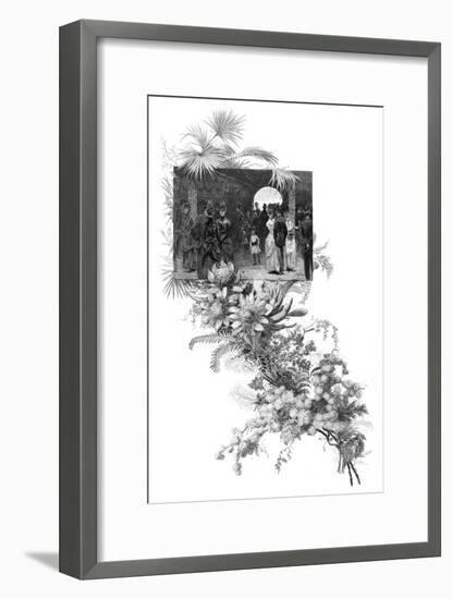 Manly Wild Flower Show, Sydney, New South Wales, Australia, 1886-null-Framed Giclee Print