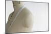 Mannequin Indoors, Close Up, Side View-moodboard-Mounted Photographic Print